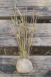 fundal rustic, lemn, rustic, fundal, natură, vechi, uzat, paie, lemn răsucite, ecologic, lemn - material, nici o persoana, plantă, creştere, zi, a închide, în aer liber, masa, natură moartă, frumusețe în natură, să se concentreze asupra primelor elemente, planta in ghiveci, vedere în unghi mare, cărare, montare pe perete, floare, scândură, plante stem, gard, 5K, CC0, domeniu public, fără drepturi de autor