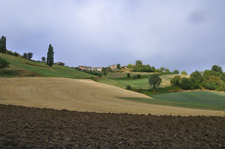 paisatge, naturalesa, panoràmica, arbre, campanya, llaurat, cel, medi ambient, planta, escenics - natura, escena tranquil·la, terra, tranquil·litat, núvol - cel, bellesa a la natura, cap gent, escena no urbana, camp, herba, color verd, dia, activitat, a l'aire lliure, 4K