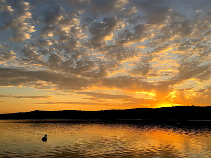 uomo, corpo, d'oro, ora, lago, tramonto, nuvole, acqua, cielo, paesaggio, natura, riflessione, orizzonte, luce del sole, sera, costa, panoramico, sole, soleggiato, tranquillo, calmo, all'aperto, luce, crepuscolo, calma, tranquillo, idilliaco, sereno, in riva al lago, bellezza nella natura, Paesaggi, nuvola - cielo, scenics - natura, colore arancione, la tranquillità, scena tranquilla, uccello, silhouette, lungomare, animali allo stato selvatico, animale, vertebrato, temi animali, fauna selvatica, nessuno, 4K