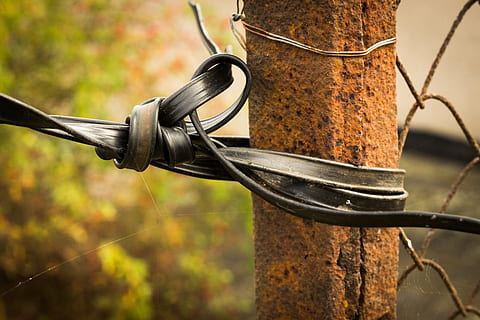 fence, wire, bound, outdoors, barbed Wire, steel, old, metal, focus on foreground, rusty, no people, close-up, plant, tree, day, nature, safety, protection, wood - material, weathered, security, hanging, equipment, silver colored, 5K, CC0, public domain, royalty free