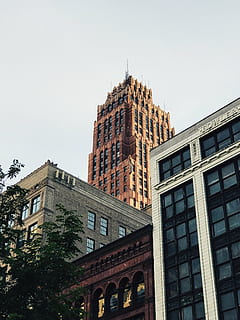 low-angle view, brown, high, rise building, buildings, building, tower, city, architecture, infrastructure, wall, window, sky, trees, green, leaves, building exterior, low angle view, built structure, facade, no people, skyscraper, history, tree, nature, clear sky, day, residential district, plant, office building exterior, tall - high, outdoors, copy space, luxury, 4K, CC0, public domain, royalty free