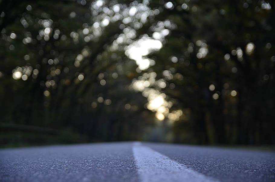 schwarz, Asphaltstraße, Baumgrenze, grau, Straße, selektiv, fokus fotografie, Asphalt, Baum, Wald, Nachmittag, Linie, große Blende, verschwommen, Tor, Natur, Pflanze, keine Leute, Transport, Tag, draußen, Bewegung, beleuchtet, Unscharf gestellt, Ruhe, Kraftfahrzeug, Auto, Transportmittel, selektiver Fokus, Land, Oberflächenniveau, 4K