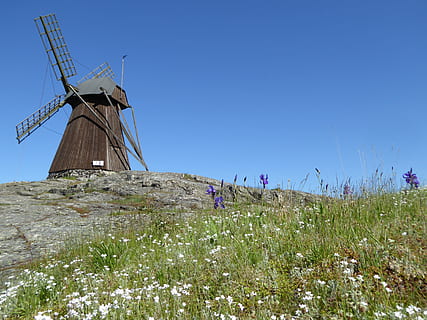 tuulimylly, Ruotsi, mylly, tuuliturbiini, polttoaineen ja sähköntuotantoon, tuulivoima, turbiini, uusiutuva energia, vaihtoehtoinen Energia, maisema, ympäristö, kasvi, maa, ympäristönsuojelu, taivas, ruoho, luonto, perinteinen tuulimylly, sininen, ala, maaseudulla, kirkas taivas, päivä, ulkona, ei ihmisiä, 4K, CC0, public domain, rojaltivapaa