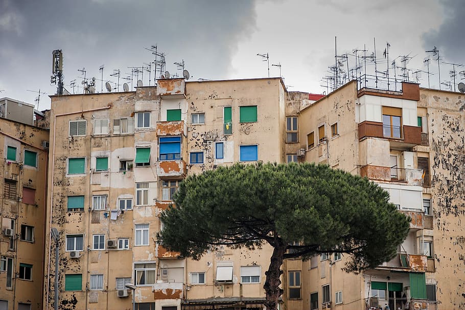 napoli, Baum, Vorderseite, Wohnung, Komplex, Gebäude, die Architektur, alt, Stadt, Wohngegend, Gebäudehülle, gebaute Struktur, Pflanze, keine Leute, Natur, Himmel, Tag, draußen, Haus, Flachwinkelansicht, Fenster, wolke - himmel, Wahl, Kommunikation, 2K