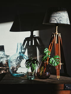płytki, fotografia fokusowa, Zielony, rośliny, wazon, dwa, czarny, szwajcarskie sery, szklane wazony, brązowy, lampa stołowa do statywu, dekoracja domowa, projektowanie wnętrz, wnętrze, zaćmienie, odbicie, dekoracja, wystrój domu, Dom, złota godzina, fotografia sony, nofilternoglory, światło słoneczne, lampa, sala, projekt, palnt, szkło, Szklana waza, roślina wewnętrzna, wewnątrz, żadnych ludzi, sprzęt oświetleniowy, pojemnik, stół, martwa natura, butelka, lampa elektryczna, jedzenie i picie, jedzenie, zbliżenie, wiszące, drewno - materiał, funkcja budowy ścian, Natura, szkło - materiał, świeżość, Grupa, 5K, CC0, domena publiczna, darmowe zdjęcia