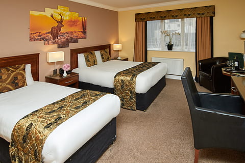 killarney, Eviston, Hotel, interno di casa, mobilia, in casa, stanza domestica, architettura, lusso, interno vetrina casa, ricchezza, divano, tavolo, soggiorno, moderno, nessuno, tappeto, cuscino, struttura costruita, tappeto - arredamento, attrezzatura per l'illuminazione, Casa, lampada elettrica, ornato, 4K, CC0, dominio pubblico, privo di copyright