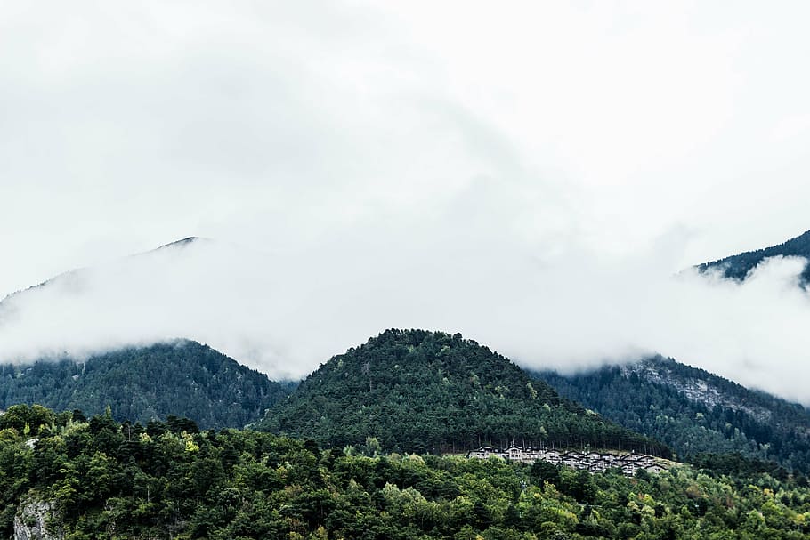 exuberant, bosc, blanc, núvols, verd, arbres, rocós, muntanyes, cobert, boires, durant el dia, paisatge, cel, naturalesa, muntanya, escenics, cap gent, Serra, dia, a l'aire lliure, escena rural, planta, escenics - natura, núvol - cel, medi ambient, arbre, bellesa a la natura, terra, boira, color verd, escena no urbana, tranquil·litat, escena tranquil·la, pi, cim de muntanya, bosc de pi, arbre de coníferes, 5K