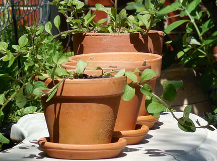arcilla, montones, cerámica, cerámico, arte, loza de barro, cultura, tradicional, planta, florero, forma, jardín, decorativo, maceta, en conserva, marrón, terracota, jardinería, trabajo, verde, hormigón, banco, planta en maceta, hoja, crecimiento, parte de la planta, naturaleza, color verde, nadie, día, de cerca, patio delantero o trasero, al aire libre, belleza en la naturaleza, centrarse en primer plano, botánica, planta de casa, 4K, CC0, dominio público, libre de derechos