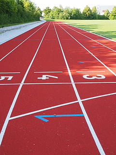 red running track, starter, career, start block, numbers, tartan track, runway, athletics, run, race, sport, start, fitness, sports ground, competition, mark, trace, racecourse, stadium, tartan, stadium round, round, white, red, leisure, pay, six, five, four, one, two, three, lines, rubber flooring, ground, sports center, characters, color, training, symbol, running Track, sports Track, outdoors, track and field, number, day, no people, in a row, sports race, diminishing perspective, the way forward, nature, direction, absence, starting line, surface level, communication, dividing line, 4K