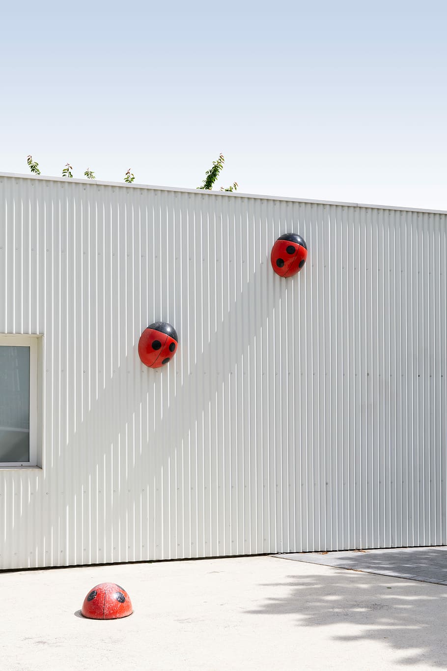 lady bug væg decors, tre, sort-og-rød løvfugl dekoration, bygning, træ, dagtimerne, mariehøne, facade, arkitektur, by-, beton, insekt, minimal, ren, by, sollys, skygge, forår, hd tapet, baggrund, lys, minimalisme, abstrakt, arkitektoniske, rød, dag, ingen mennesker, natur, bygget struktur, himmel, kopiere plads, murbygningsfunktion, plante, skyfri himmel, udendørs, bygning udvendig, skilt, mad, meddelelse, sikkerhed, frugt, mad og drikke, 5K