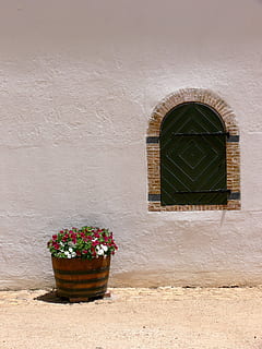 finestra, paret, emblanquinat, flors, barril, exterior, casa, residència, estuc, edifici, estructura, en blanc, residencial, nacional, propietat, decoració, a l'aire lliure, estructura construïda, arquitectura, planta en test, funció de construcció de parets, exterior de l'edifici, planta, planta amb flors, flor, cap gent, creixement, dia, naturalesa, test de flor, arc, frescor, 1080P, CC0, domini públic, lliure de regalies