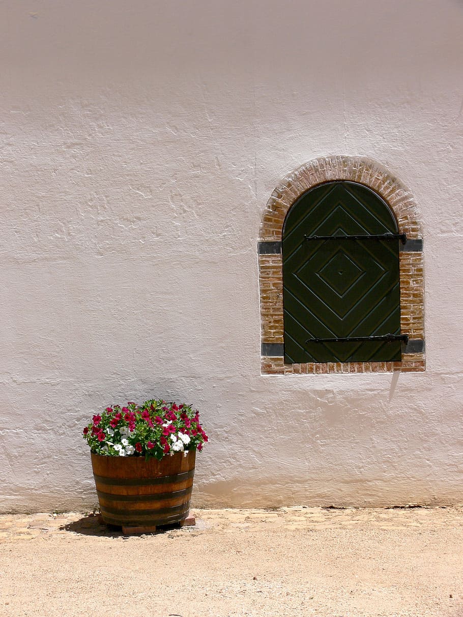 finestra, paret, emblanquinat, flors, barril, exterior, casa, residència, estuc, edifici, estructura, en blanc, residencial, nacional, propietat, decoració, a l'aire lliure, estructura construïda, arquitectura, planta en test, funció de construcció de parets, exterior de l'edifici, planta, planta amb flors, flor, cap gent, creixement, dia, naturalesa, test de flor, arc, frescor, 1080P