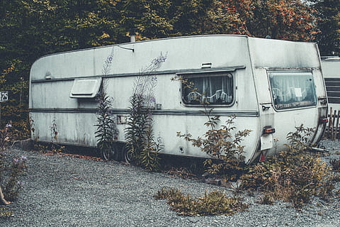hvid, rv trailer, bag, grøn, bladede, træ, dækket, blade, anhænger, campingvogn, struktur, gammel, ferie, plante, natur, ingen mennesker, dag, jord, bygget struktur, forladt, vækst, arkitektur, bygning udvendig, udendørs, Mark, forældet, kørt ned, beskadiget, forringelse, transportform, nedgang, transportmidler, 4K, CC0, offentligt domæne, royaltyfrie