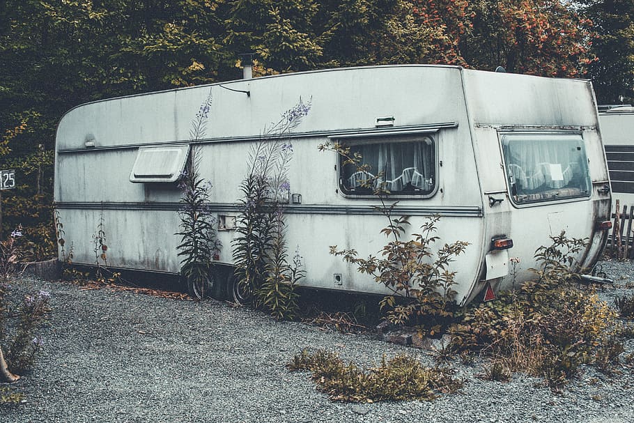 hvid, rv trailer, bag, grøn, bladede, træ, dækket, blade, anhænger, campingvogn, struktur, gammel, ferie, plante, natur, ingen mennesker, dag, jord, bygget struktur, forladt, vækst, arkitektur, bygning udvendig, udendørs, Mark, forældet, kørt ned, beskadiget, forringelse, transportform, nedgang, transportmidler, 4K