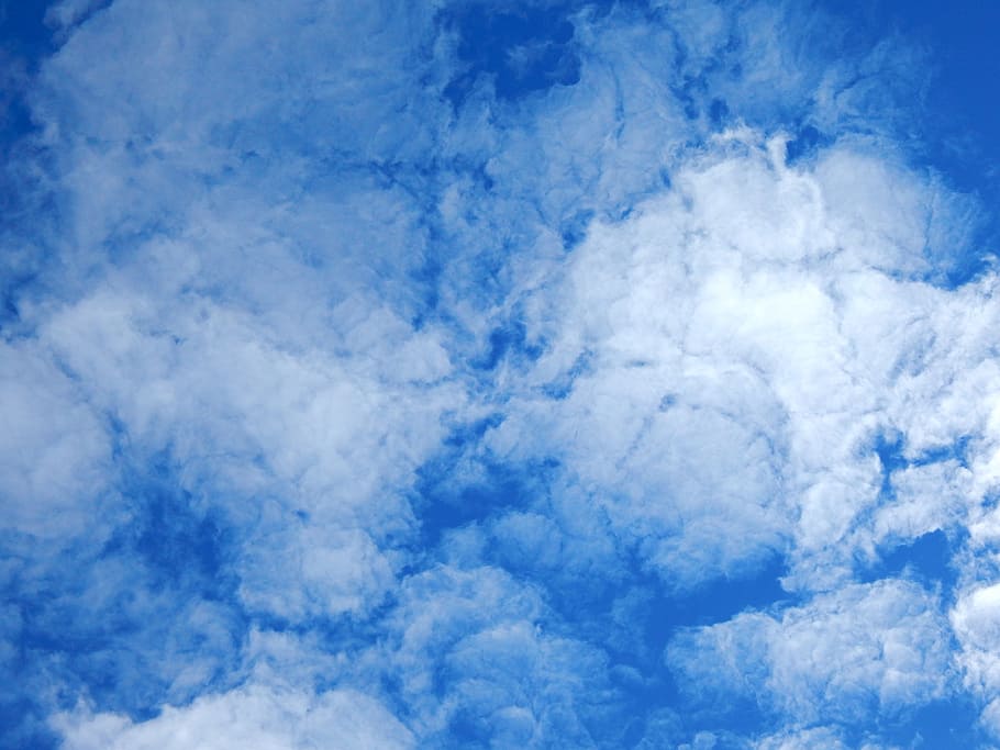 núvol, vent, cel, naturalesa, blau, blanc, aire, volar, vol, cloudscape, atmosfera, temps, alt, llum solar, estiu, esponjós, Cúmulus, primavera, flotar, clima, dia, natural, patró, cirrus, fracto, nimbus, pluja, altitud, núvol - cel, bellesa a la natura, escenics - natura, tranquil·litat, escena tranquil·la, fons, cap gent, Color blanc, idíl·lic, a l'aire lliure, vista d’angle baix, medi ambient, meteorologia, suavitat, 4K