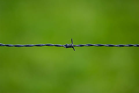 γκρι σύρμα barb, σύρμα, ασφάλεια, αγκάθι, Κοντά, φράκτης, πράσινος, tiefenschärfe, διαχωρισμός, όριο, αγκαθωτό σύρμα, ατσάλι, μέταλλο, ΠΡΟΣΤΑΣΙΑ, Όριο, αιχμηρός, εμπόδιο, συνεστραμμένο, χωρίς κόσμο, γκρο πλαν, προειδοποιητική πινακίδα, επικοινωνία, πράσινο χρώμα, σημάδι, εστίαση σε νέα στοιχεία, συρματόπλεγμα, απαγορευμένος, κράμα, 1080P, CC0, δημόσιος τομέαςα, χωρίς δικαιώματαe