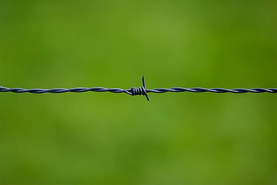 filo spinato grigio, filo, sicurezza, spina, vicino, recinto, verde, Tiefenschärfe, demarcazione, limite, filo spinato, acciaio, metallo, protezione, confine, acuto, barriera, contorto, nessuno, avvicinamento, segnale di pericolo, comunicazione, colore verde, cartello, concentrarsi sulle conoscenze acquisite, rete metallica, proibito, lega, 1080P