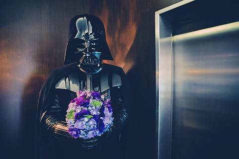 darth vader, hospodářství, nachový, kytice, hvězdné války, květ, voják, temný, svatba, výtah, kvetoucí rostlina, uvnitř, Příroda, ženy, náboženství, dospělý, oblečení, rostlina, sklo - materiál, lidé, skutečných lidí, okno, obřad, svěžest, životního stylu, 4K, CC0, veřejná doména, bez autorských práv