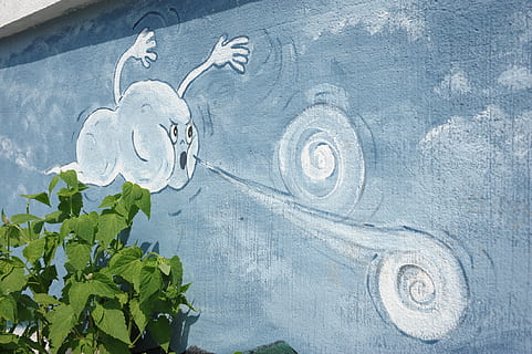 mural, chuncheon, answer, art and craft, representation, no people, creativity, close-up, plant, human representation, day, nature, leaf, growth, plant part, text, craft, outdoors, blue, wall - building feature, pattern, white color, floral pattern, 1080P, CC0, public domain, royalty free