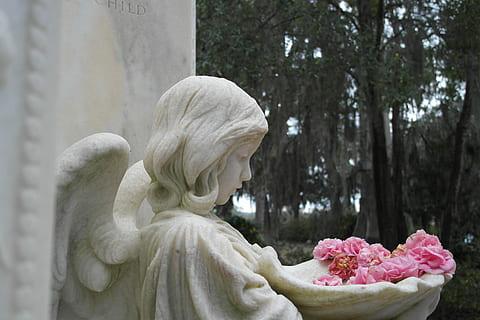sabana, bonaventure, làpida, estàtua, a l'aire lliure, arbre, una sola dona, dia, només dones, escultura, representació humana, art i artesania, representació, semblança femenina, planta, naturalesa, creativitat, semblança masculina, àngel, flor, planta amb flors, cap gent, tomba, cementiri, material de pedra, bellesa a la natura, religió, 5K, CC0, domini públic, lliure de regalies