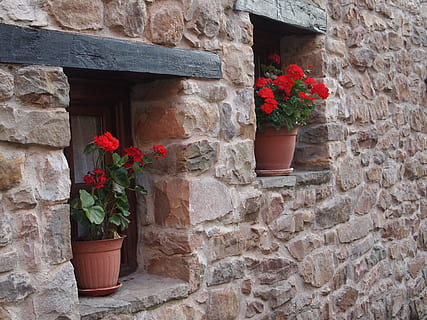 finestra, paret, olles, flors, façana, finestra antiga, pedra, vell, edifici antic, flor, vermell, estructura construïda, paret de pedra, planta, casa, planta amb flors, planta en test, arquitectura, funció de construcció de parets, naturalesa, creixement, dia, exterior de l'edifici, cap gent, test de flor, fragilitat, vulnerabilitat, frescor, bellesa a la natura, a l'aire lliure, maó, cap de flor, caixa de finestra, 4K, CC0, domini públic, lliure de regalies