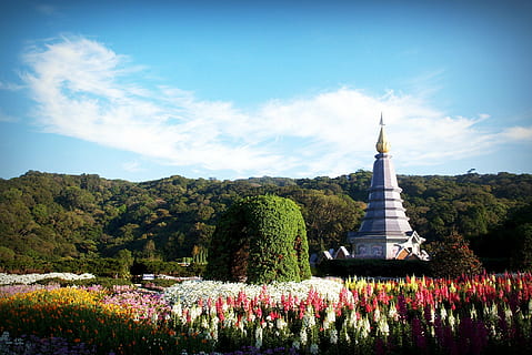 grå, tårn, hvid, rød, blomsterfelt, dagtimerne, landskabsfotografering, parkere, doi, Inthanon, tapet, Thailand, chiangmai, national, grøn, rejse, dag, blomst, kultur, dronning, historie, øst, gammel, traditionel, stupa, bygning, buddhisme, Asien, religiøs, turist, thai, høj, design, arkitektur, tempel, blå, bjerg, skønhed, pagode, himmel, turisme, religion, buddha, kunst, smuk, baggrund, vand, plads, natur, ferie, konstruktion, landskab, berømte sted, plante, blomstrende plante, bygget struktur, bygning udvendig, skønhed i naturen, vækst, rejsemål, træ, friskhed, ingen mennesker, Spir, udendørs, blomsterseng, 2K, CC0, offentligt domæne, royaltyfrie