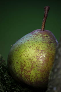 succoso, frutta, pari, cibo, cibo e bevande, freschezza, mangiare sano, avvicinamento, nessuno, benessere, colore verde, natura morta, pianta, concentrarsi sulle conoscenze acquisite, natura, Pera, singolo oggetto, biologico, stelo vegetale, giorno, all'aperto, Mela, maturo, 5K, CC0, dominio pubblico, privo di copyright