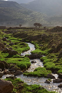 naturalesa, arbre, muntanya, riu, verd, mardin, gall dindi, escenics - natura, bellesa a la natura, aigua, planta, escena tranquil·la, tranquil·litat, medi ambient, paisatge, terra, dia, cap gent, escena no urbana, color verd, creixement, a l'aire lliure, aigua que flueix, que flueix, rierol: aigua que flueix, 4K, CC0, domini públic, lliure de regalies
