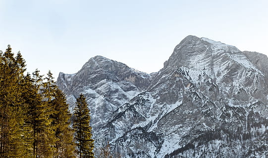 montagna innevata, altitudine, freddo, luce del giorno, foresta, alto, ghiaccio, paesaggio, montagna, vette, all'aperto, roccioso, panoramico, cielo, la neve, alberi, boschi, albero, temperatura fredda, scenics - natura, bellezza nella natura, pianta, inverno, catena montuosa, natura, la tranquillità, scena tranquilla, ambiente, scena non urbana, nessuno, giorno, cielo sereno, formazione, picco di montagna, albero di conifere, Pino, bosco di pini, 4K, CC0, dominio pubblico, privo di copyright