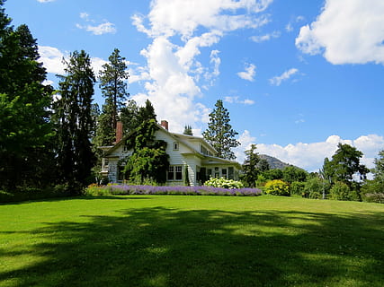green, grass lawn, daytime, white, wooden, storey, house, surrounded, trees, blue, sky, clouds, grass, playground, shade, nature, sport, golf, tree, golf course, green - golf course, green color, day, no people, plant, cloud - sky, built structure, architecture, building exterior, growth, land, building, beauty in nature, field, sunlight, landscape, shadow, outdoors, 1080P, CC0, public domain, royalty free