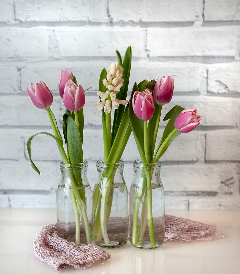 rosa, tulipes, gerro de vidre, beix, superfície, tulipa, gerro, flor, Pasqua, bouquet, primavera, ampolles de llet, paret de calç, teixit, malla, fulles, jacint, ou, vermell, fusta, planta amb flors, frescor, planta, fragilitat, vulnerabilitat, bellesa a la natura, color rosa, taula, naturalesa, pètal, primer pla, a l'interior, cap de flor, cap gent, natura morta, inflorescència, vidre - material, arranjament floral, Ram de flors, porpra, 1080P