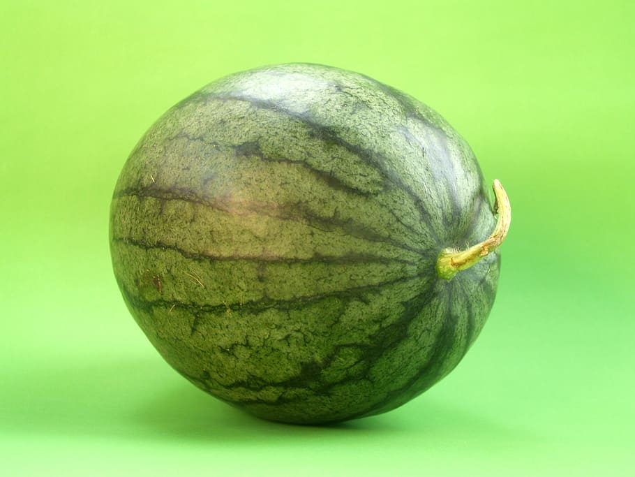 anguria verde, anguria, fetta, isolato, seminato, delizioso, tropicale, dolce, bianca, cibo dietetico, cibo dolce, rosso, dieta, spuntino, studio, sfondo bianco di anguria, cibo salutare, mangiare, cocomero isolato, fetta di anguria, salutare, vitamina, taglio, mangiare sano, melone, rinfresco, frutta, sfondo, fresco, nutrizione, cibo, succoso, anguria seminata, porzione, cibo e bevande, colore verde, sfondo colorato, girato in studio, singolo oggetto, benessere, sfondo verde, avvicinamento, freschezza, nessuno, natura morta, in casa, ritagliare, verdura, concentrarsi sulle conoscenze acquisite, tentazione, 2K