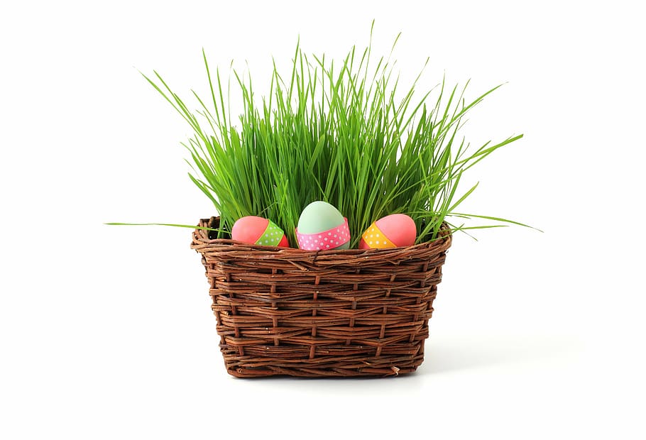 huevos de Pascua, marrón, cesta de mimbre, cesta, celebracion, decoración, Pascua de Resurrección, huevo, huevos, hierba, verde, vacaciones, aislado, primavera, huevo de animal, huevo de Pascua, multi color, comida, naturaleza, envase, comida y bebida, Fondo blanco, planta, foto de estudio, frescura, separar, nadie, color verde, mimbre, 5K