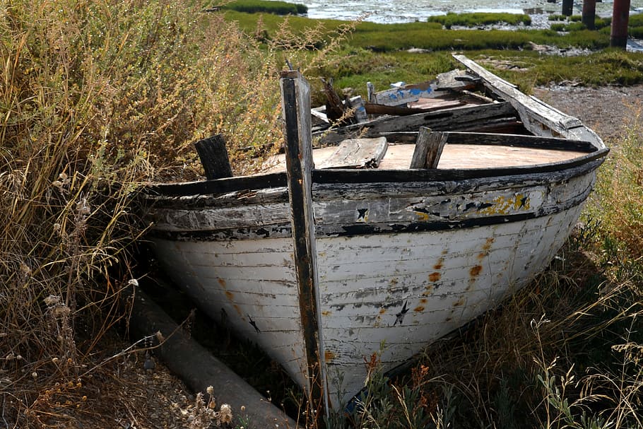 arrencada, vell, vaixell, marítim, frack, mar, vell, vaixell, vaixell nàutic, a l'aire lliure, cap gent, dia, amarrat, aigua, terra, abandonat, camp, planta, obsoleta, declivi, naturalesa, deteriorament, metall, aixafar, transport, herba, espatllat, rovellat, material de fusta, barca de rems, 4K