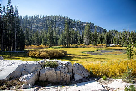 rock formation, front, green, fields, daytime, landscape, valley, rocks, swamp, pond, vegetation, trees, scenic, nature, outdoor, summer, view, meadow, grass, environment, wilderness, marshland, moor, bog, marsh, wet, tree, plant, scenics - nature, beauty in nature, rock, tranquil scene, non-urban scene, solid, tranquility, rock - object, sky, no people, green color, coniferous tree, sunlight, forest, pine tree, woodland, outdoors, pine woodland, 5K, CC0, public domain, royalty free