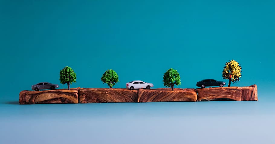 strada del mare, pane, puramente, nessuno, la tranquillità, giorno, natura, cielo sereno, albero, pianta, cielo, creatività, copia spazio, sfondo colorato, blu, sfondo blu, all'aperto, arte e artigianato, rappresentazione, rappresentazione animale, animale, fianco a fianco, temi animali, sport, composito digitale, 4K