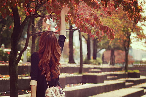 mujer, negro, vestido de manga larga, participación, rojo, hoja de arbol, mujer en negro, codo, vestido, hoja roja, árbol, otoño, al aire libre, gente, adulto joven, hembras, parque - espacio hecho por el hombre, estilos de vida, hoja, escena urbana, hermoso, etnia caucásica, belleza, naturaleza, adulto, felicidad, ciudad, solo una mujer, Solo mujeres, una persona, pelo largo, vista trasera, gente real, planta, pelo, peinado, actividad de ocio, en pie, día, centrarse en primer plano, ropa casual, mujer joven, ropa de abrigo, 1080P, CC0, dominio público, libre de derechos