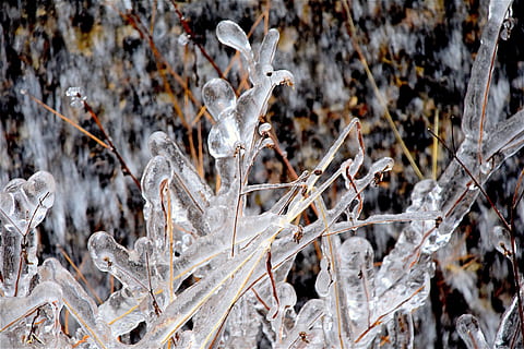 gheață, cristale, iarnă, rece, îngheţ, zăpadă, gheaţă, cristale, albastru, textură, natură, alb, apă, natural, sezon, luminos, îngheţat, vreme, ze, acoperit, înghețat, clar, scânteie, timp de iarna, arctic, temperatura rece, abstract, plantă, zi, nici o persoana, să se concentreze asupra primelor elemente, teren, culoare alba, uscat, camp, frumusețe în natură, a închide, plante stem, creştere, în aer liber, vulnerabilitate, planta moartă, 4K, CC0, domeniu public, fără drepturi de autor