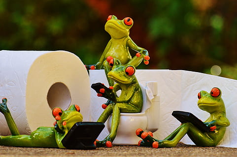 vier, Frosch, Keramik, Figuren, Toilette, Klo, Session, lustig, Toilettenpapier, süß, Mobiltelefon, Grün, Tier, Spielzeug, Darstellung, menschliche Darstellung, Figur, Kindheit, Kunst und Handwerk, Kreativität, männliche Ähnlichkeit, Skulptur, Kind, Nachwuchs, Statue, Natur, Tag, Kunst, draußen, weibliche Ähnlichkeit, 4K, CC0, gemeinfrei, lizenzfrei