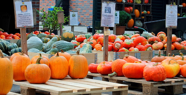 dýně, helloween, zelenina, podzimní dekorace, jídlo, podzimní motivy, podzim, oranžový, předvečer Všech svatých, cucurbita, volba zvolit, žlutá, dekorace, dýňové umění, dekorativní tykve, zahrada, jíst, hokkaido, tykev, stálý život, Červené, láhev tykev, šťastný Halloween, pole, jídlo a pití, Zdravé stravování, ovoce, trh, svěžest, blahobyt, maloobchodní, velká skupina objektů, oranžová barva, stání na trhu, podnikání, zeleniny, hojnost, na prodej, den, nikdo, výběr, uspořádání, maloobchodní displej, zralý, 2K, CC0, veřejná doména, bez autorských práv