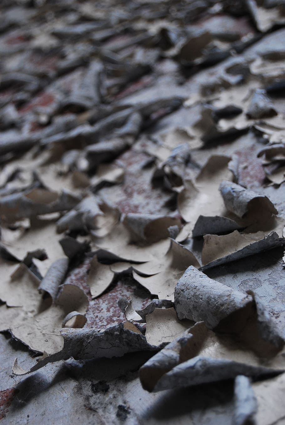 malovat, textura, zeď, starý, stočený, texturou, pozadí, celý rám, nikdo, detail, den, selektivní zaměření, vzor, Příroda, list, suchý, rostlinné části, velká skupina objektů, přistát, hojnost, listy, podzim, stálý život, venku, krása v přírodě, suší se, 2K