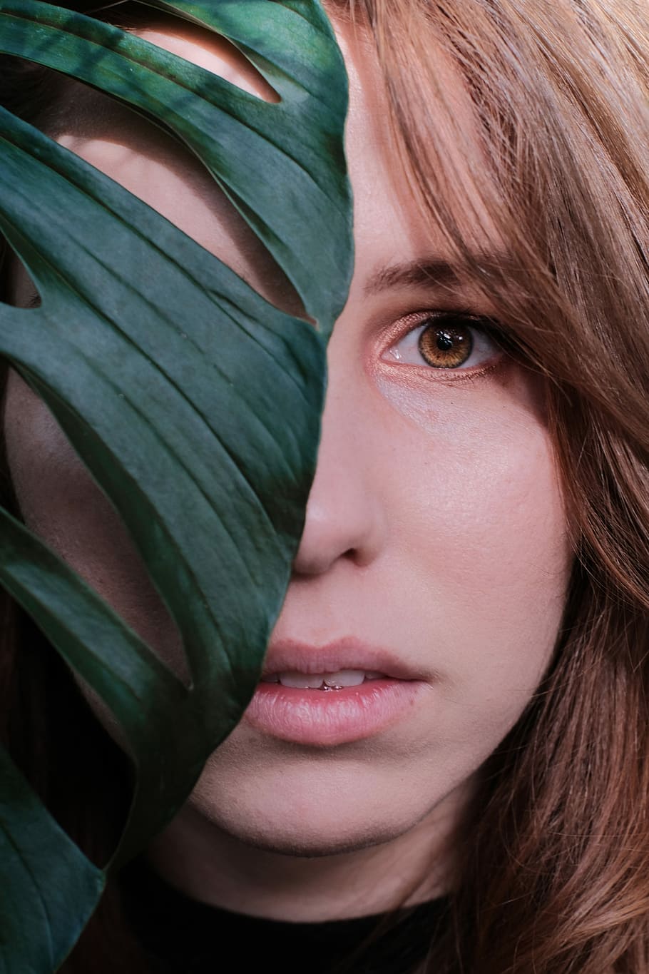 kvinde ansigt, bag, grøn, swiss ost plante, kvindes ansigt, blad, øje, ansigt, kvinde, hovedskud, portræt, en person, tæt på, kigger på kameraet, ung voksen, livsstil, forfra, menneskeligt ansigt, unge kvinder, grøn farve, menneskelig kropsdel, plante del, rigtige mennesker, Kvinder, kropsdel, voksen, frisure, teenager, smuk kvinde, 5K