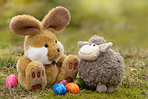 shallow, focus photography, two, assorted, plush, toys, easter, easter bunny, easter eggs, lamb, still life, grass, teddy Bear, cute, toy, stuffed toy, animal representation, easter egg, celebration, mammal, representation, animal, no people, holiday, rabbit - animal, animal themes, nature, plant, softness, innocence, 2K, CC0, public domain, royalty free