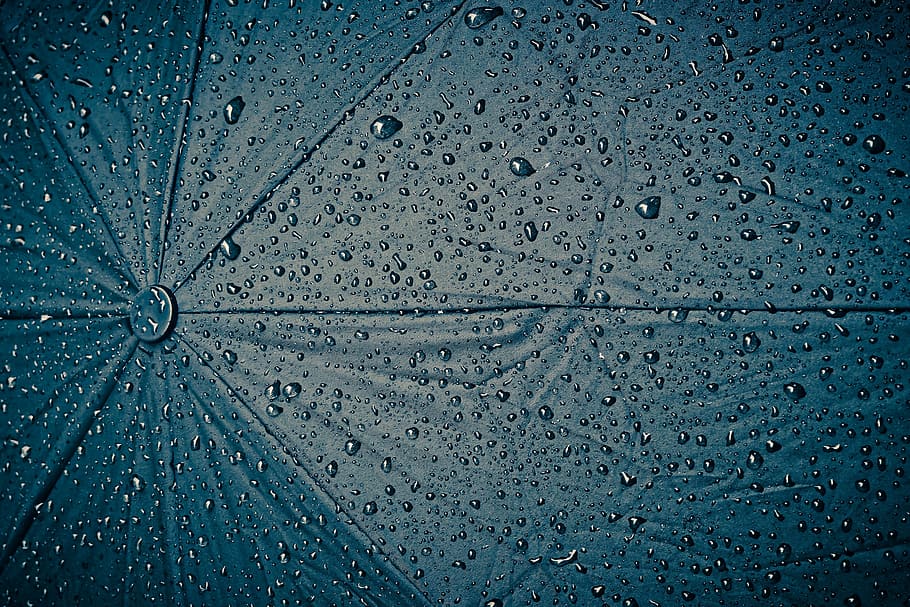blau, paraigua, cobert, roses d'aigua, pluja, pantalla, gota de pluja, humit, temps, temps plujós, degoteig, gota d’aigua, aigua, dia plujós, perles, mal temps, fons, estructura, textura, resum, patró, tirar, marc complet, cap gent, primer pla, naturalesa, a l'aire lliure, dia, temporada de pluges, puresa, rosada, 4K