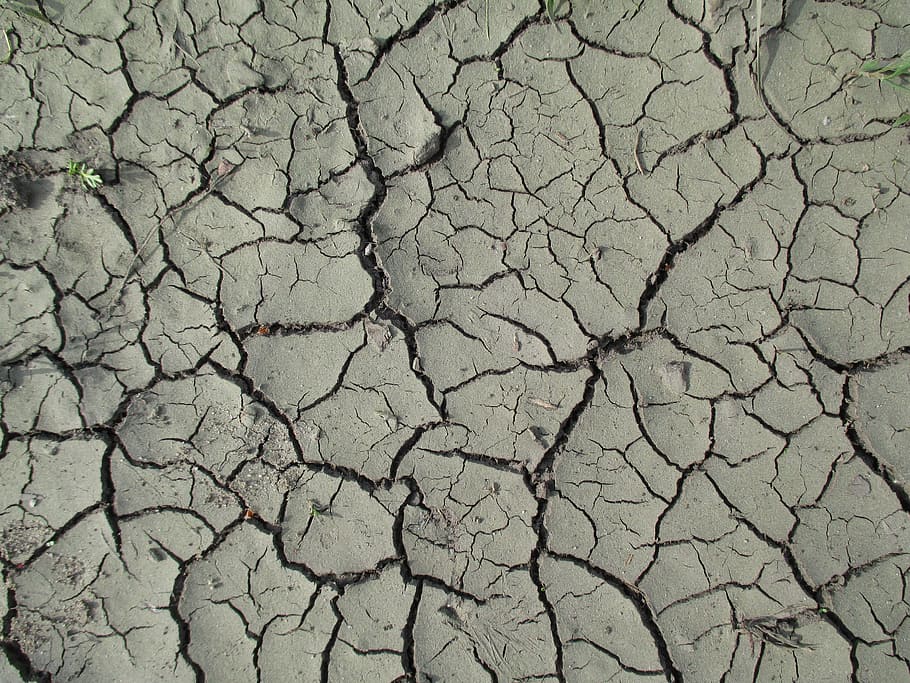 textura, naturalesa, fang, abeurador, riu, piscina, sequera, esquerdat, el rerefons, patró, bonic, estiu, calor, desig, sec, terra, brutícia, desert, clima, clima àrid, fons, calor - temperatura, medi ambient, desastre natural, estèril, escalfament global, argila, escenics - natura, marc complet, qüestions ambientals, patró natural, cap gent, dia, danys ambientals, a l'aire lliure, 4K