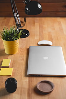 tre, skrivebord, laptop, macbook, apple enhet, kamera linse, datamaskin, bord lampe, innendørs, blader, moderne, mus, anlegg, klistrelapper, bord, teknologi, trådløst, treflate, arbeidsplass, arbeidsområde, royalty bilder, tre - materiale, ingen folk, høy vinkel visning, stilleben, mat og Drikke, nærbilde, potteplante, mat, selektiv fokusering, stor gruppe gjenstander, hjemlige rom, skjærefjøl, urt, friskhet, velvære, penn, 5K, CC0, offentlig domene, opphavsrett gratis
