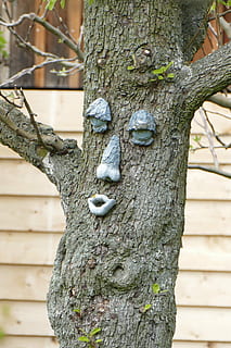 arbre, cara, divertit, cara d’arbre, esperit forestal, naturalesa, fusta, planta, tronc, tronc de l'arbre, centrar-se en primer pla, textura, dia, cap gent, a l'aire lliure, primer pla, creixement, aspre, material de fusta, creativitat, patró, temes d'animals, branca, Color blanc, representació, 5K, CC0, domini públic, lliure de regalies