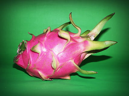 rose, fruit du dragon, vert, textile, fruit, dragon, fermer, isolé, Thaïlande, succulent, mûr, rare, vibrant, délicieux, tropical, des graines, blanc, sucré, rouge, régime, biologique, unique, brillant, distinctif, cactus, macro, thaïlandais, savoureux, en bonne santé, frappant, nutritif, libellule, Contexte, Frais, nutrition, la nature, exotique, aliments, juteux, asiatique, Nourriture et boisson, alimentation saine, fraîcheur, fond coloré, à l'intérieur, prise de vue en studio, bien-être, fond vert, couleur verte, personne, pitaya, couleur rose, nature morte, coupé, nourriture crue, objet unique, violet, fleur, 2K, CC0, domaine public, libre de droits