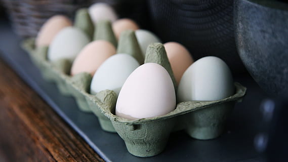 Weiß, Beige, Eier, Tablett, Hühnereier, Holztisch, Ei, Schale, Eierkarton, Lebensmittel, tierisches Ei, Ostern, Nahansicht, Tabelle, keine Leute, braun, Kulturen, Essen und Trinken, drinnen, Milchprodukt, Wohlbefinden, Verletzlichkeit, Container, gesundes Essen, Frische, Zerbrechlichkeit, Gruppe von Objekten, Natur, Rohkost, organisch, Stillleben, große gruppe von gegenständen, in einer Reihe, 4K