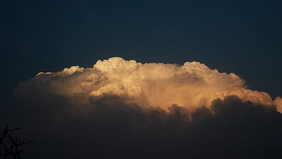 nori întunecați, nor, nori, plafon de nori, vreme, natură, cer, albastru, nori de ploaie, ceruri de nori, cloud kłębiasta, thundercloud, Prognoza meteo, nor - cer, frumusețe în natură, nici o persoana, scenice - natura, în aer liber, noapte, liniște, idilic, dramatic cer, mediu inconjurator, vedere unghiulară joasă, Cloudscape, o scenă liniștită, spaţiu, maiestuos, copac, 1080P, CC0, domeniu public, fără drepturi de autor
